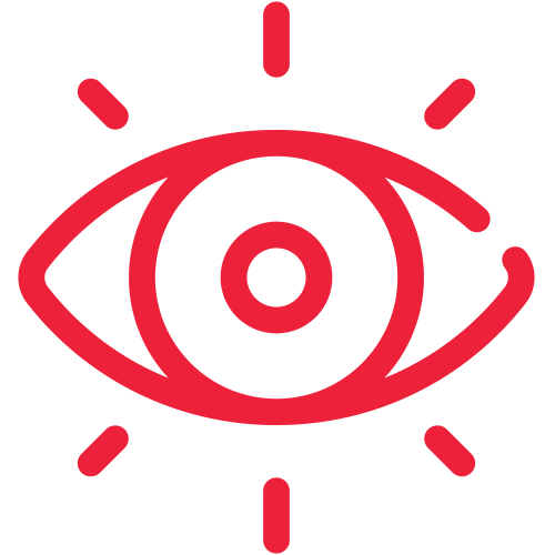 visão